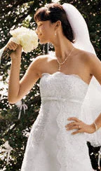 David's Bridal Satin beaded lace on tulle overlay & empire bodice